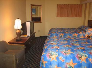 Fourth Bedroom Has 2 queen beds - private TV - DVD
